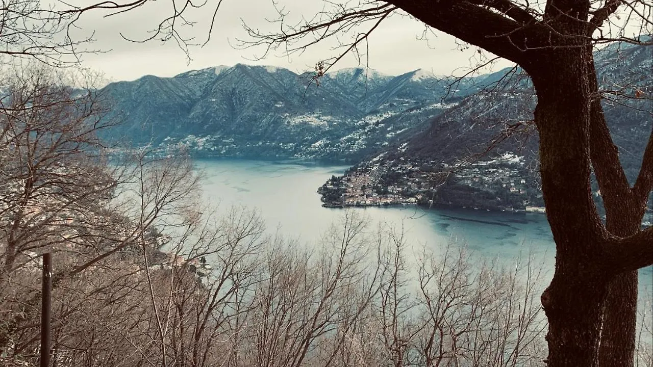 Il Riccio Appartamento Cernobbio Appartement